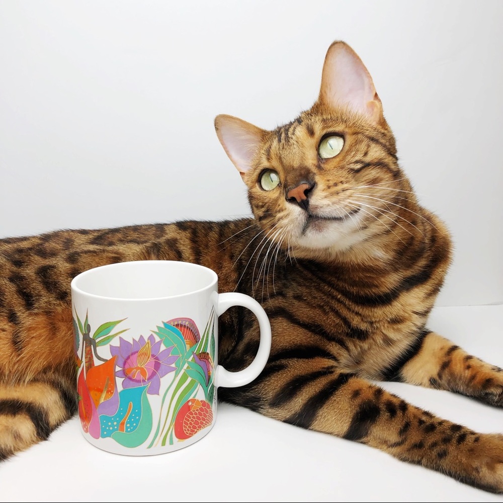Fantasy in the Forest Laurel Burch Mug